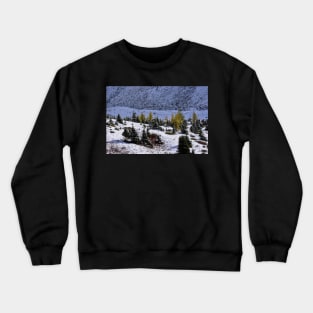 Gold Larch Trees. Crewneck Sweatshirt